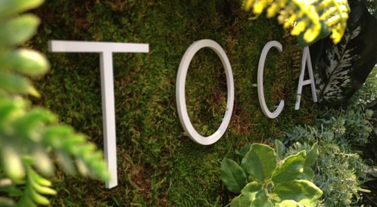 toca-logo.jpg