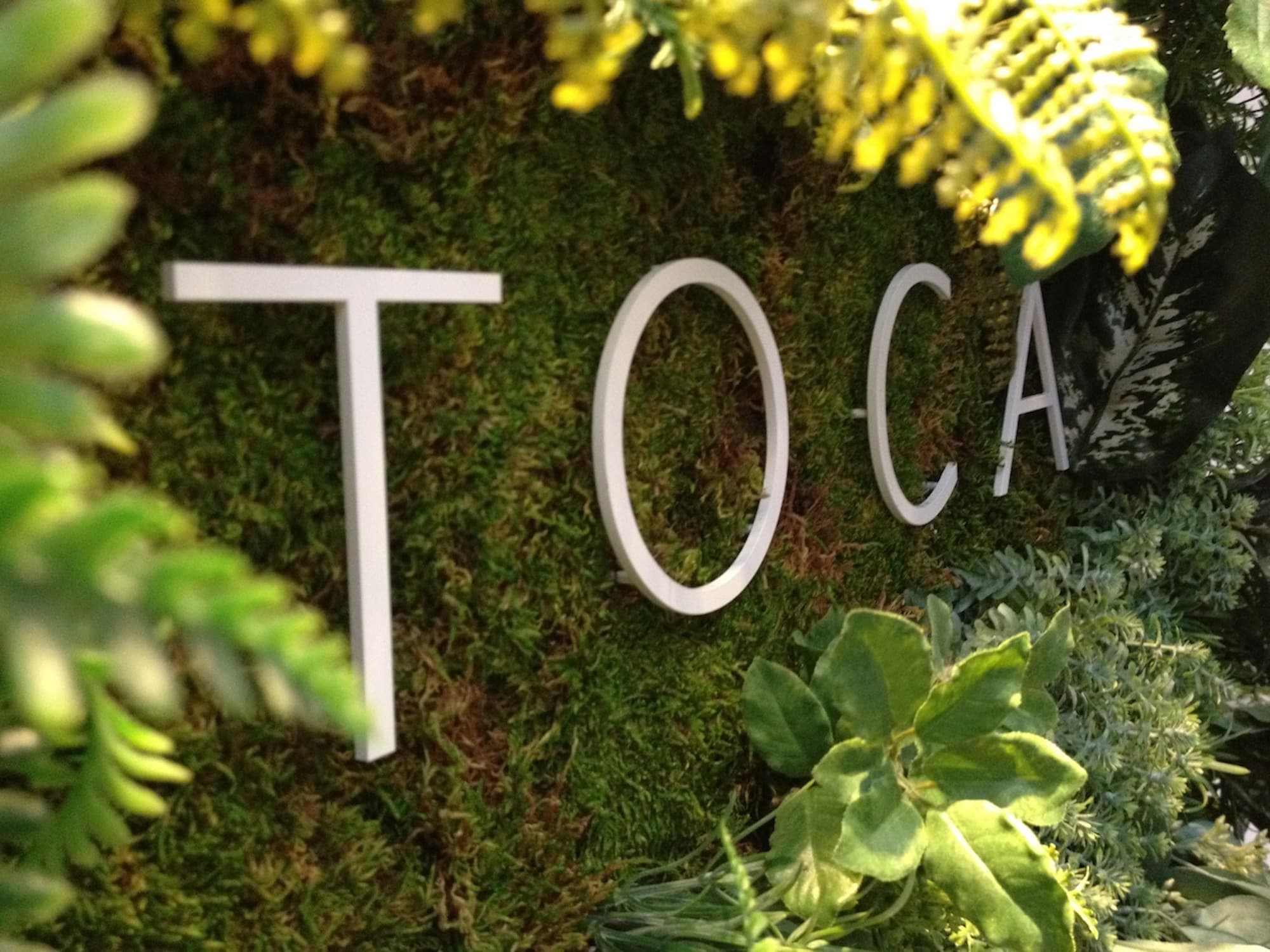toca-logo.jpg